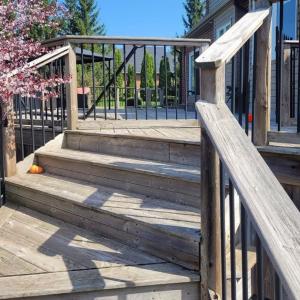 Replace or Repair Your Deck? 5 Smart Ways to Decide Before You Waste Time and Money